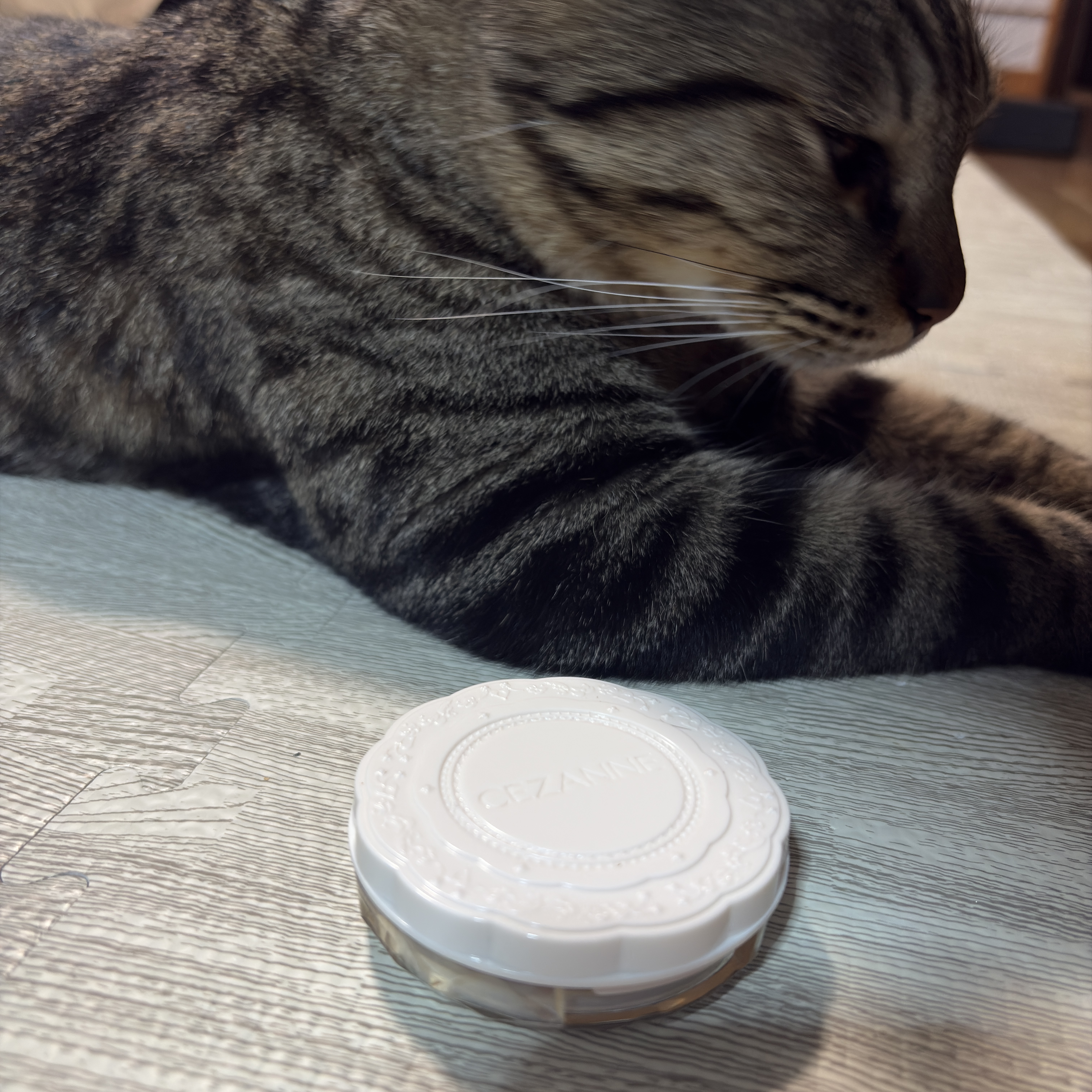 UVシルクカバーパウダー/CEZANNE/プレストパウダーを使ったクチコミ（2枚目）