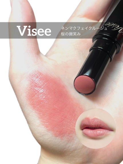 ネンマクフェイク ルージュ/Visée/口紅を使ったクチコミ(1枚目)