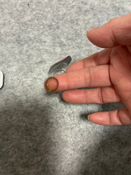 Angelcolor Bambi Series 1day レモンヘーゼル/AngelColor/ワンデー(1DAY)カラコンの画像