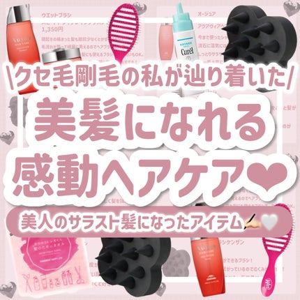 アクアヴィア ヘアトリートメント/オージュア/ヘアマスク・ヘアパックを使ったクチコミ(1枚目)