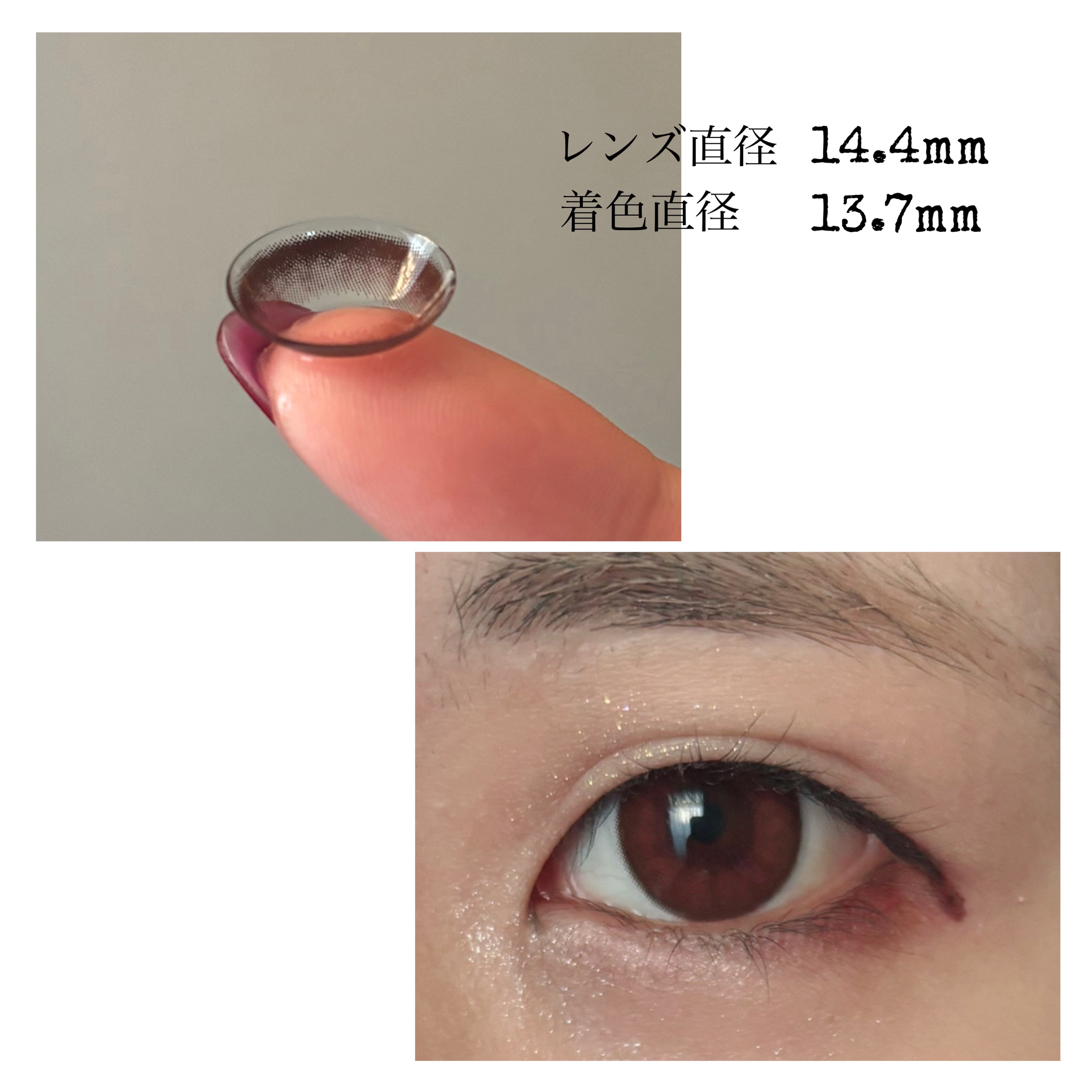 Angelcolor Bambi Series 1day /AngelColor/ワンデー（１DAY）カラコンを使ったクチコミ（2枚目）