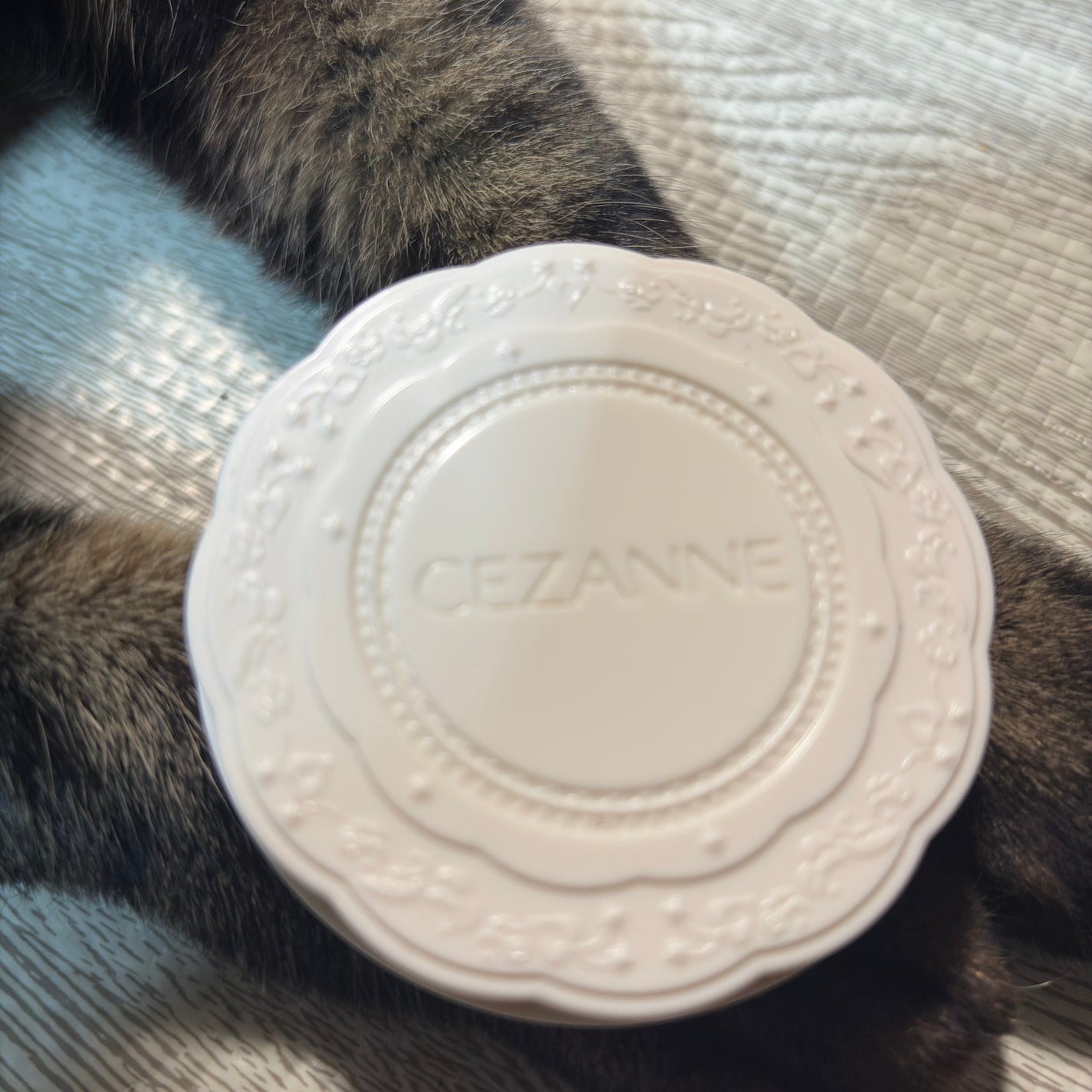 UVシルクカバーパウダー/CEZANNE/プレストパウダーを使ったクチコミ(1枚目)