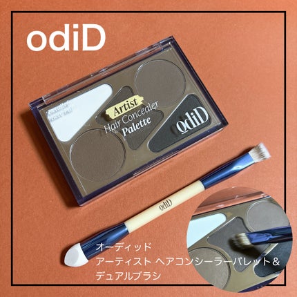 ヘアコンシーラーパレット&アーティスト デュアルブラシ/odiD/その他スタイリングを使ったクチコミ(1枚目)
