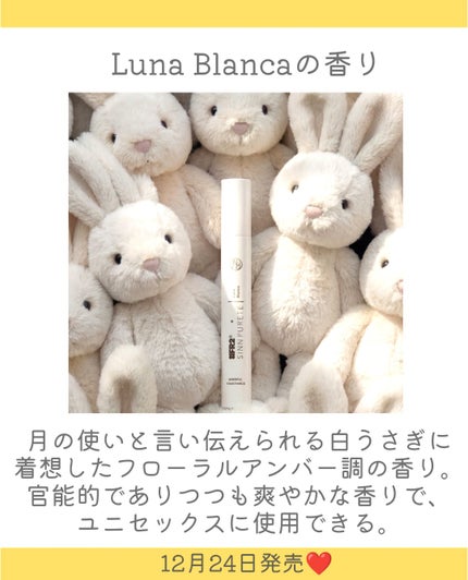 マインドフル フレグランス オードパルファム / Luna Blanca(白い月)/SINN PURETÉ/香水(その他)を使ったクチコミ(3枚目)