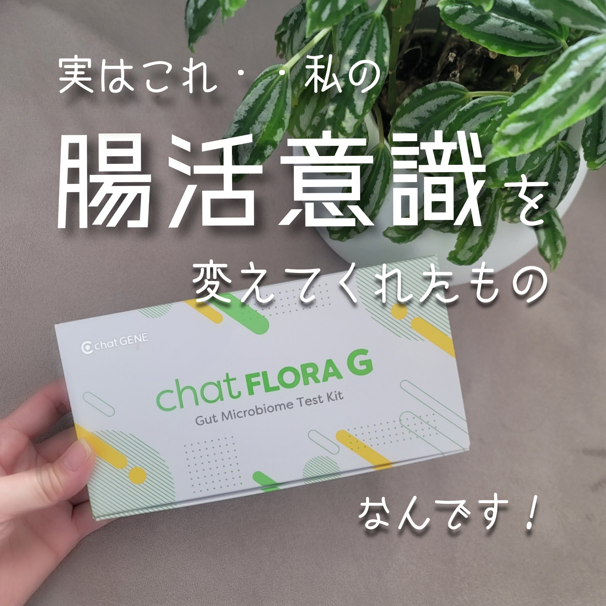 chat FLORA G/chatFLORA G/遺伝子検査キットを使ったクチコミ（2枚目）