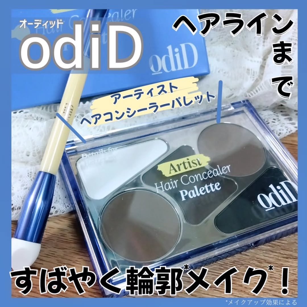  ヘアコンシーラーパレット&アーティスト デュアルブラシ/odiD/その他スタイリングを使ったクチコミ（1枚目）
