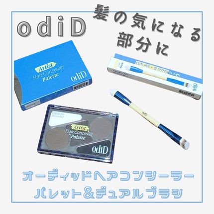 ヘアコンシーラーパレット&アーティスト デュアルブラシ/odiD/その他スタイリングを使ったクチコミ(1枚目)