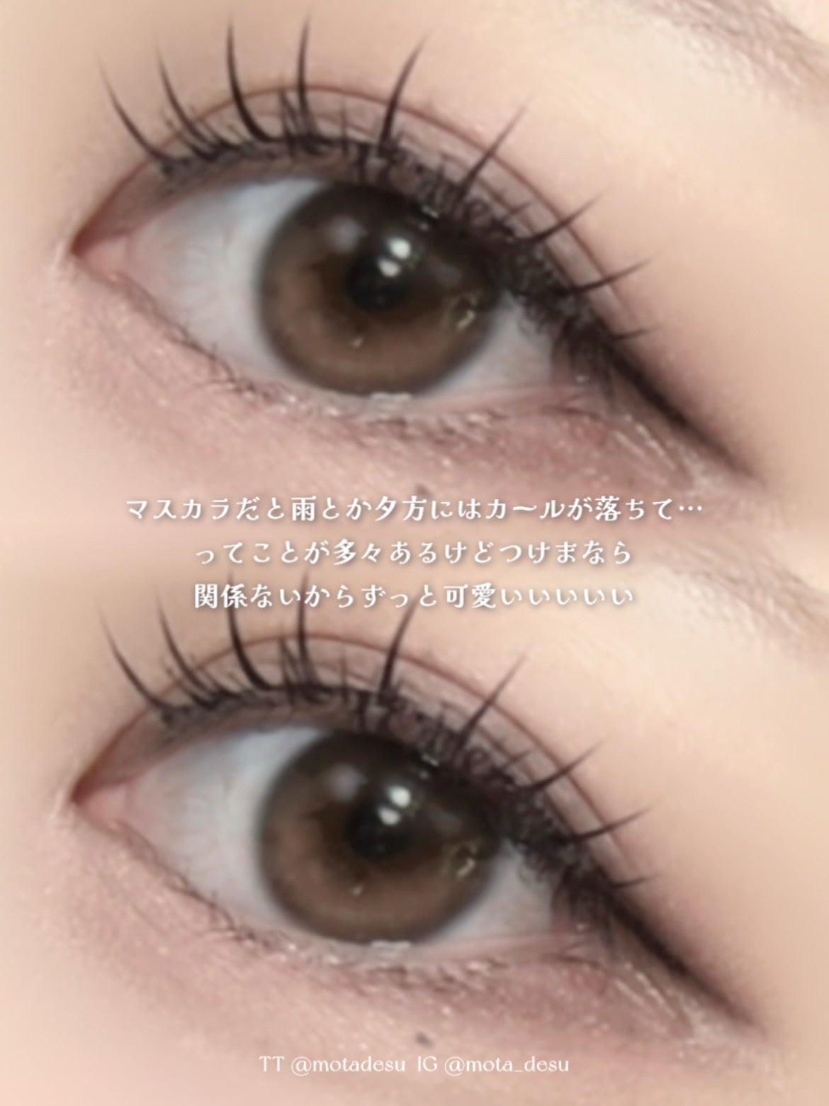 ラッシュフォーカス/D-UP/つけまつげを使ったクチコミ(6枚目)