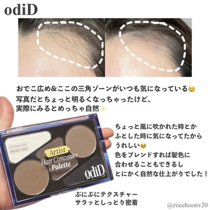 ヘアコンシーラーパレット&アーティスト デュアルブラシ/odiD/その他スタイリングを使ったクチコミ(2枚目)
