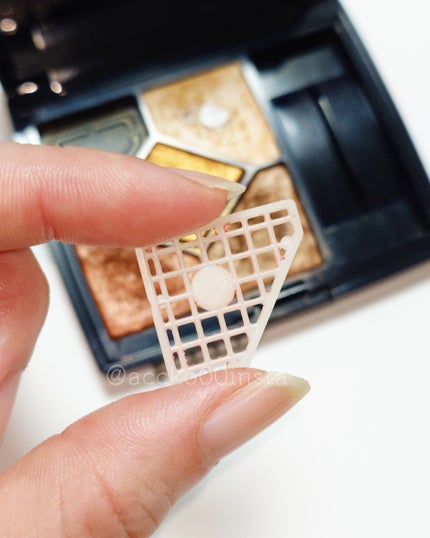 サンク クルール<ワイルド アース>/Dior/アイシャドウパレットを使ったクチコミ(4枚目)