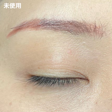 アイスカルプト/shu uemura/アイシャドウパレットを使ったクチコミ(6枚目)