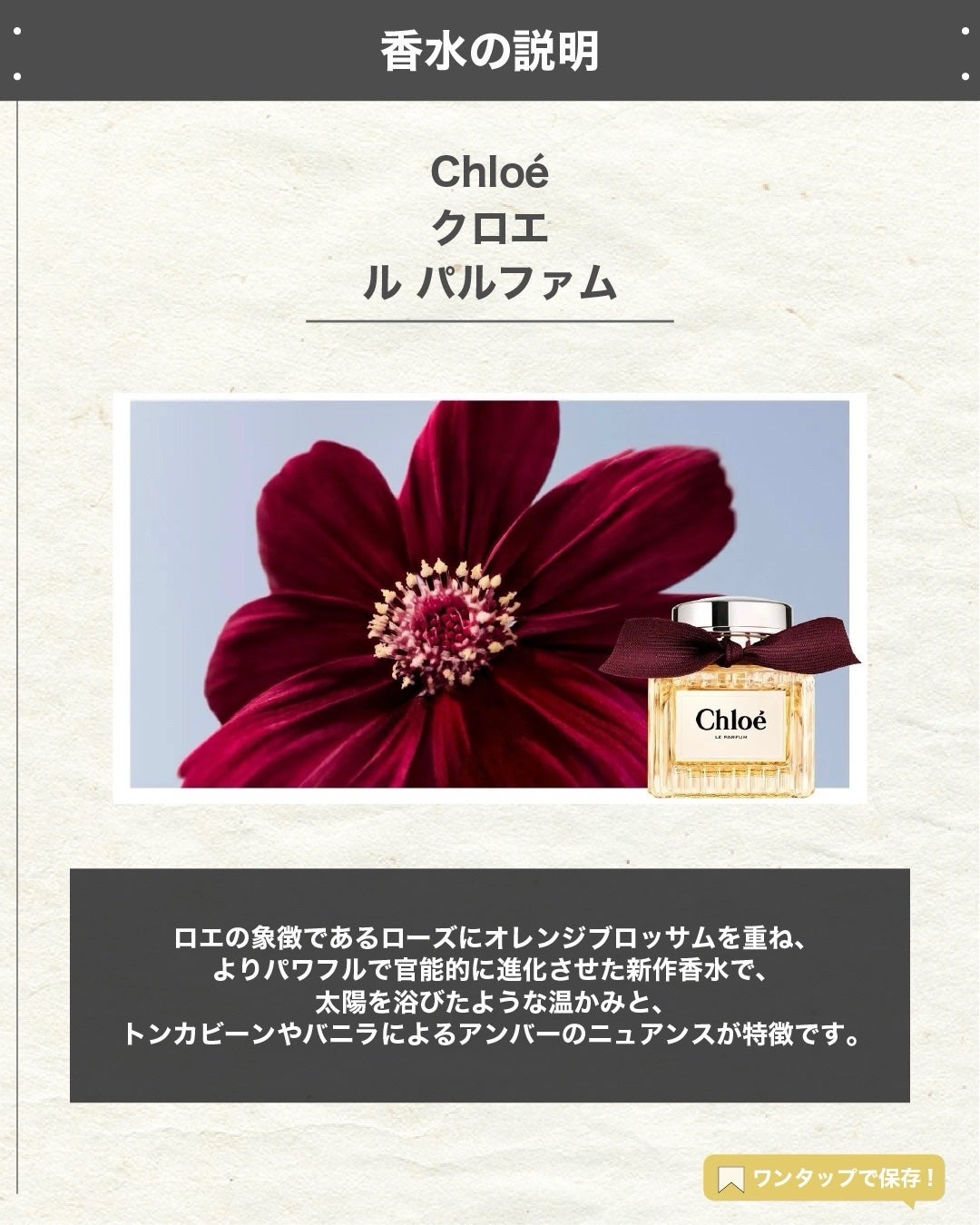 エスログ┊1日1分のモテ香水紹介 on LIPS 「.『クロエ新作香水』🌳製品情報Chloéクロエルパルファム発売..」(2枚目)