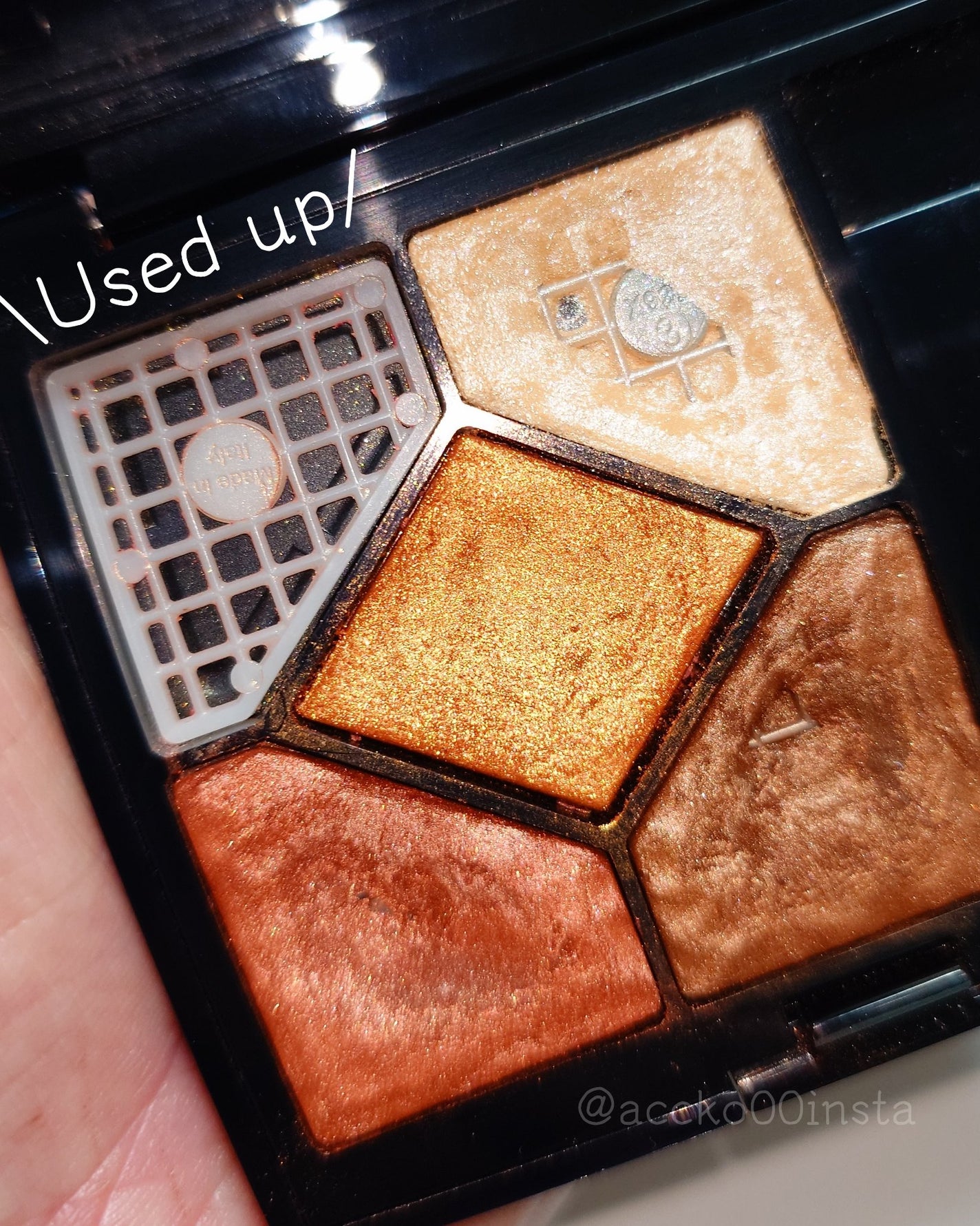 サンク クルール<ワイルド アース>/Dior/アイシャドウパレットを使ったクチコミ(1枚目)