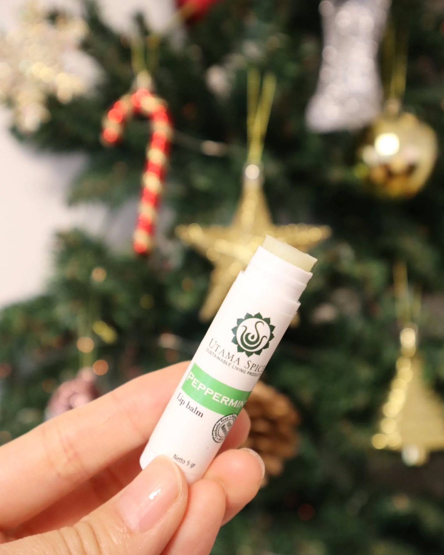 リップバーム/UTAMA SPICE/リップバームを使ったクチコミ(2枚目)