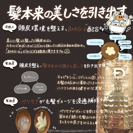 スカルプD ボーテ ディグニティ ザ スカルプシャンプー/スカルプトリートメントパック/アンファー(スカルプD)/シャンプー・コンディショナーを使ったクチコミ(2枚目)