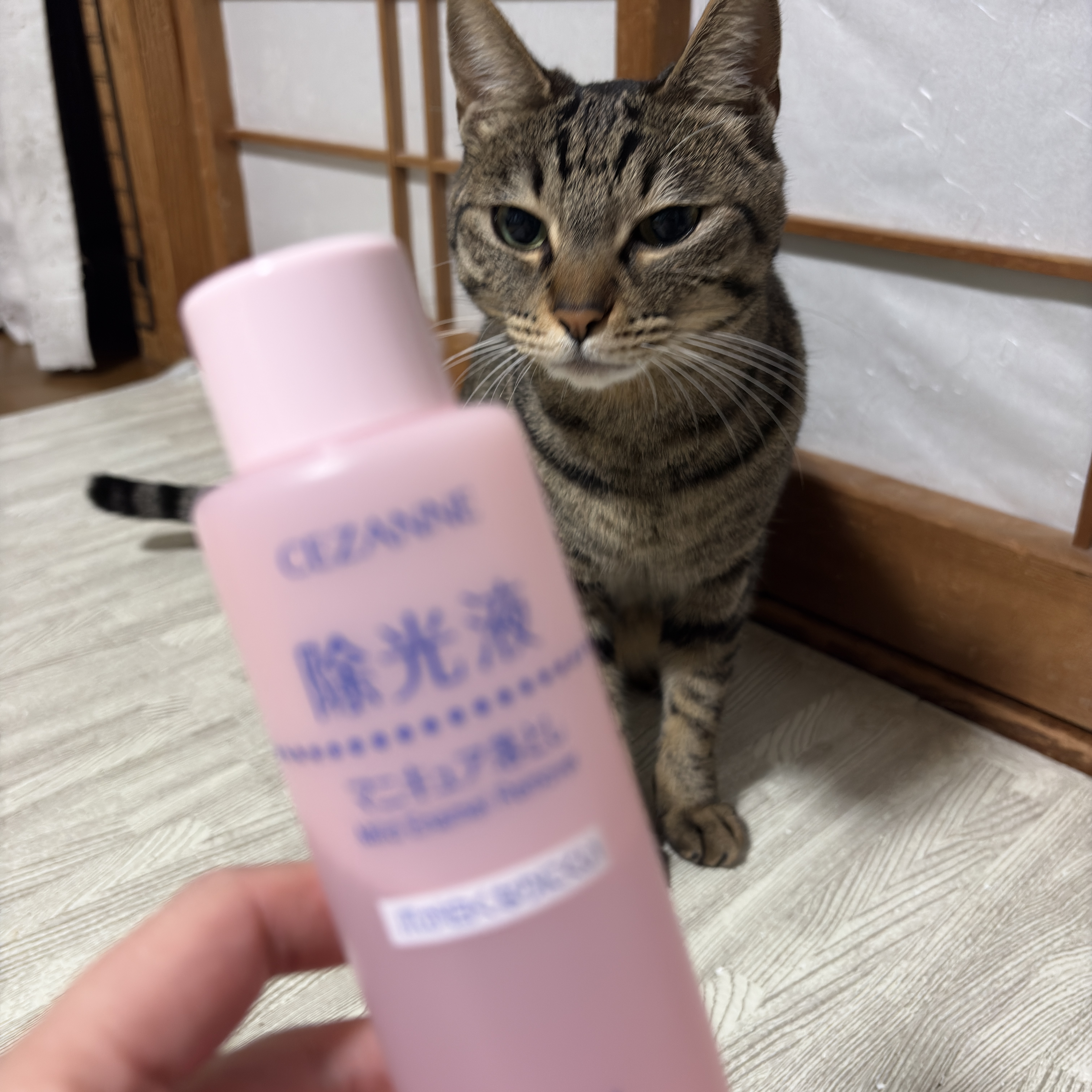 マイルド エナメルリムーバーN/CEZANNE/除光液を使ったクチコミ（2枚目）