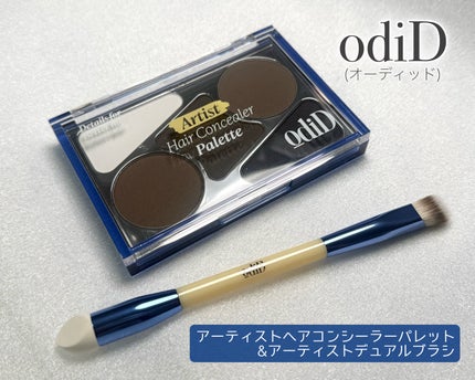 アーティストライン ヘアコンシーラーパレット/odiD/その他スタイリングを使ったクチコミ(2枚目)