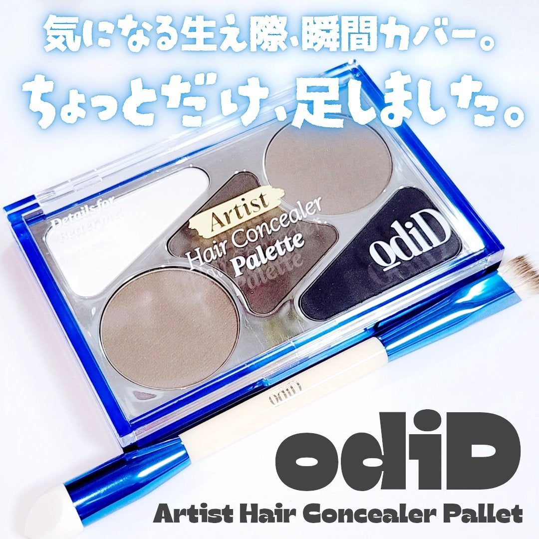 アーティストライン ヘアコンシーラーパレット/odiD/その他スタイリングを使ったクチコミ(1枚目)