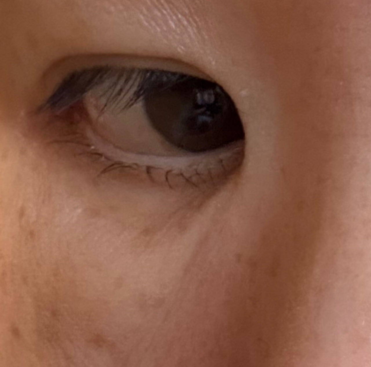 フィービー ビューティーアップ アイラッシュセラムN2/PHOEBE BEAUTY UP/まつげ美容液を使ったクチコミ(2枚目)