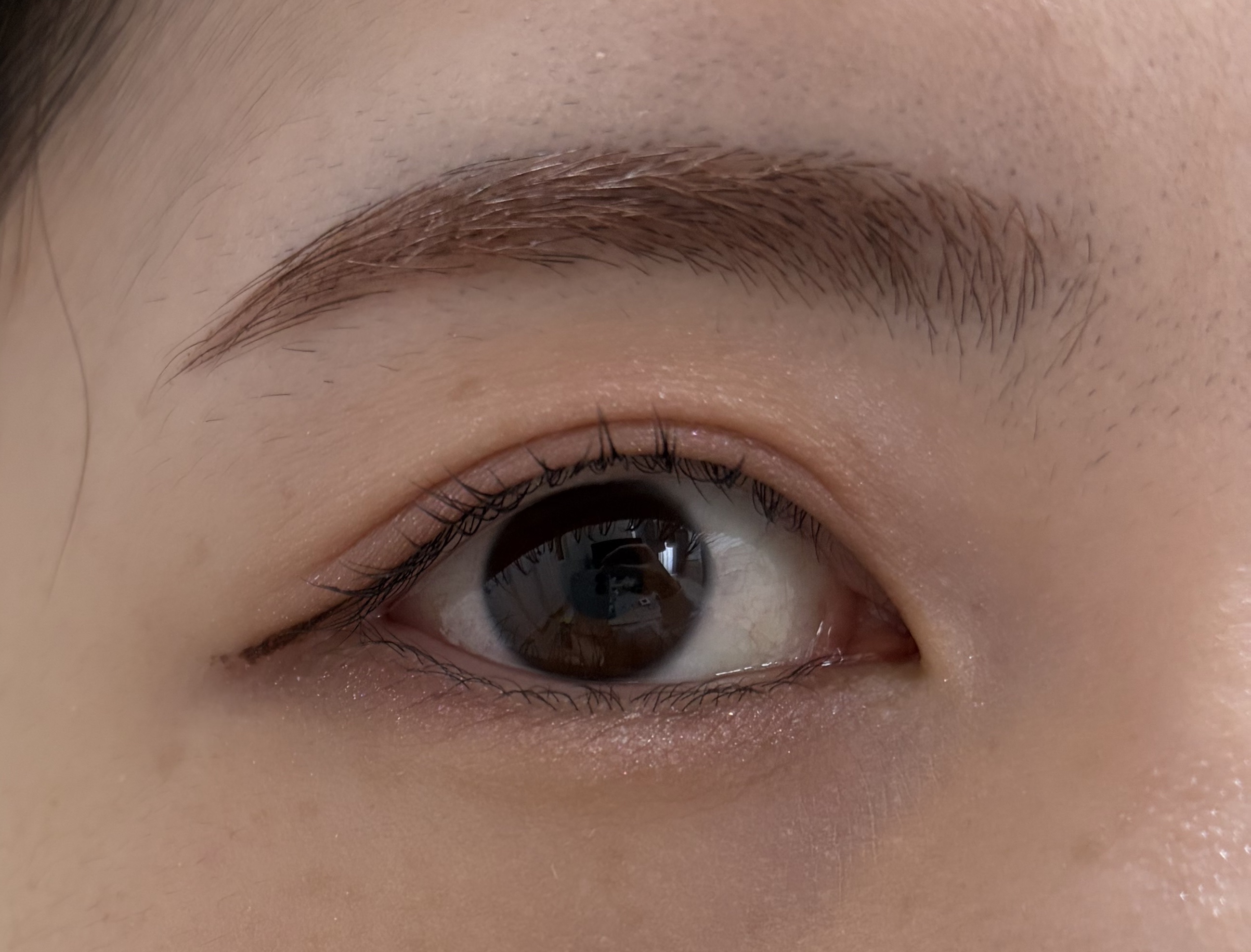 アイスカルプト/shu uemura/アイシャドウパレットを使ったクチコミ（3枚目）