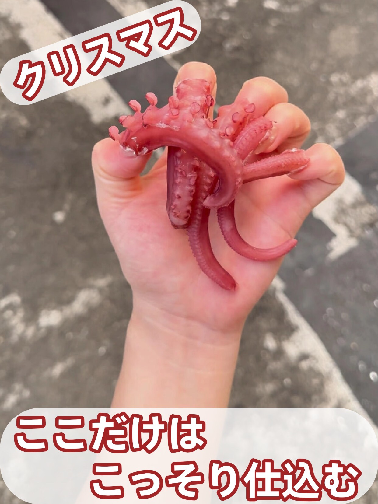 アネトス バランシング トリートメントクリーム/Anetos/フェイスクリームを使ったクチコミ（1枚目）