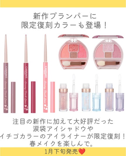 クリーミータッチライナー 16 プリティミルクティー/キャンメイク/ジェルアイライナーを使ったクチコミ(2枚目)