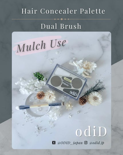 ヘアコンシーラーパレット&アーティスト デュアルブラシ/odiD/その他スタイリングを使ったクチコミ(1枚目)