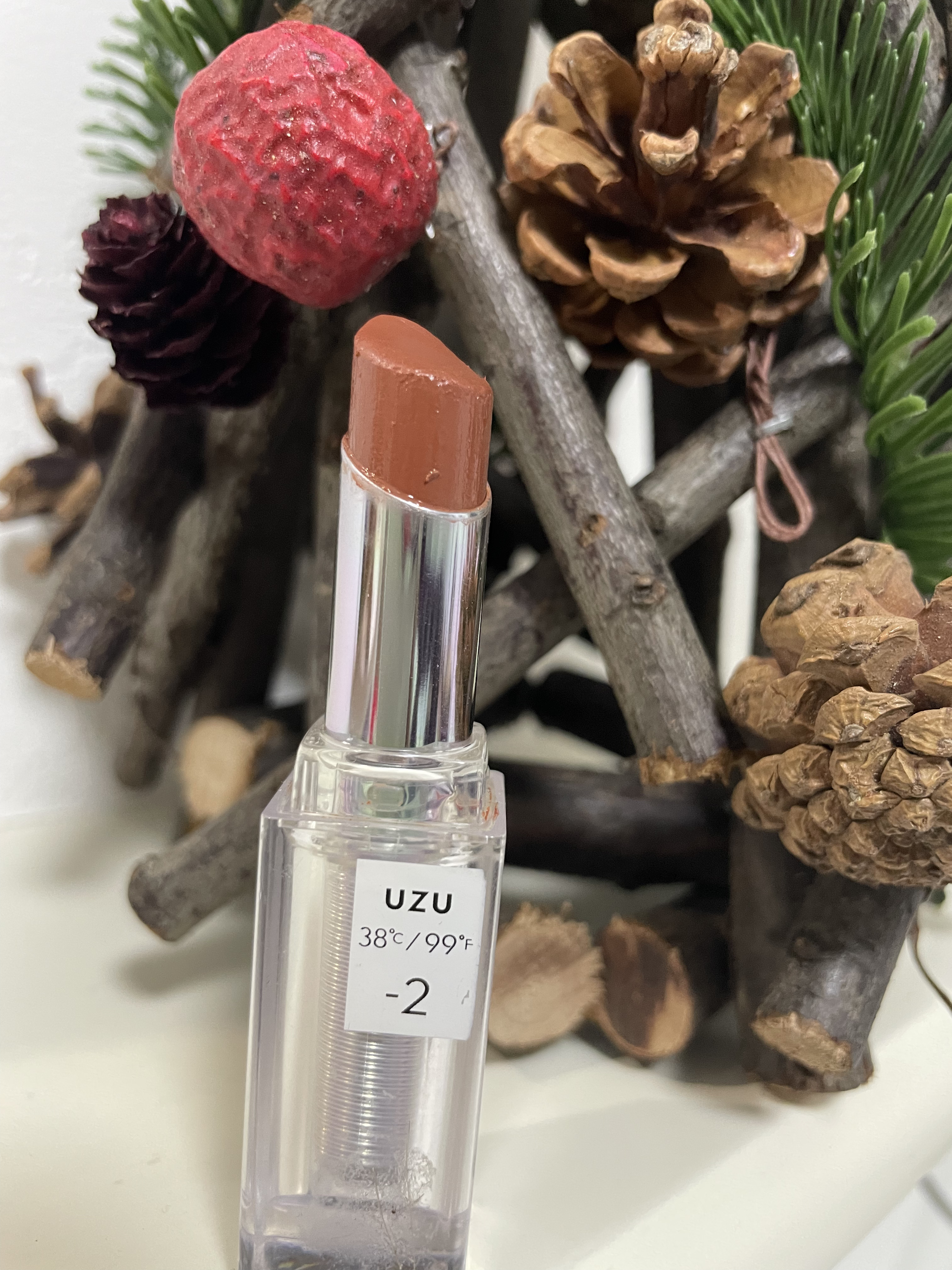  38°C / 99°F Lipstick <TOKYO>/UZU BY FLOWFUSHI/口紅を使ったクチコミ（1枚目）