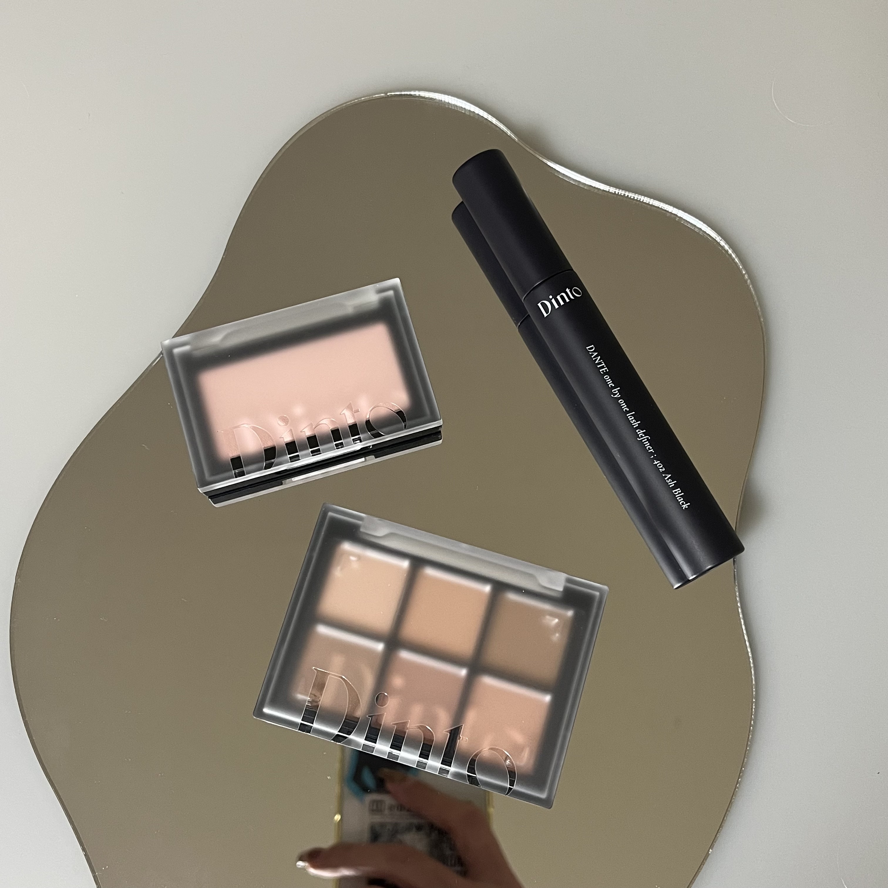 ブラーフィニシュシャドウパレット 701 ジェーンオースティン/Dinto/アイシャドウパレットを使ったクチコミ（1枚目）