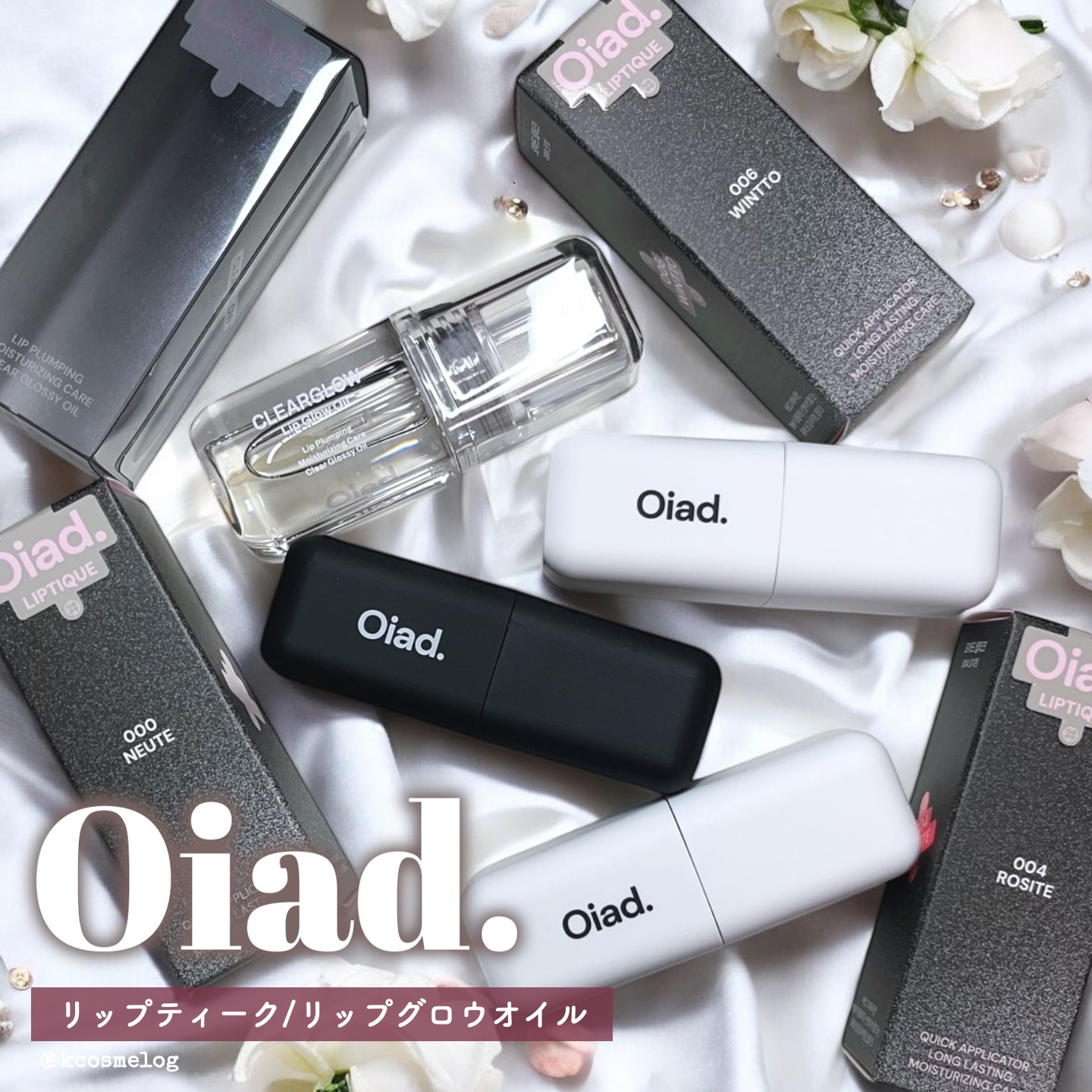 リップティーク/oiad/口紅を使ったクチコミ（1枚目）