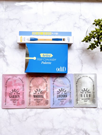 ヘアコンシーラーパレット&アーティスト デュアルブラシ/odiD/その他スタイリングを使ったクチコミ(1枚目)