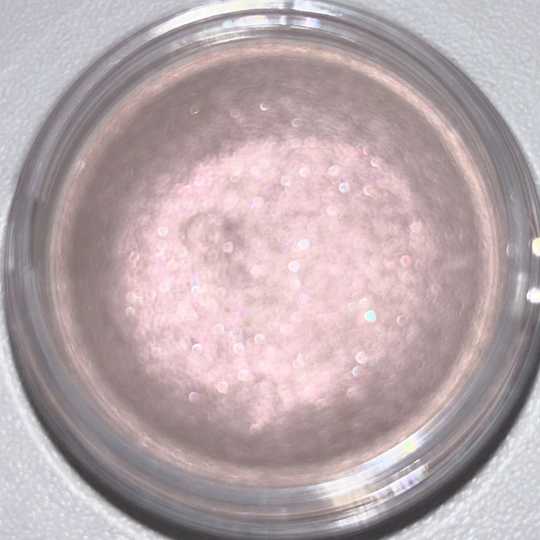 ジルスチュアート　エターナル アイビジュー/JILL STUART/ジェル・クリームアイシャドウを使ったクチコミ（3枚目）