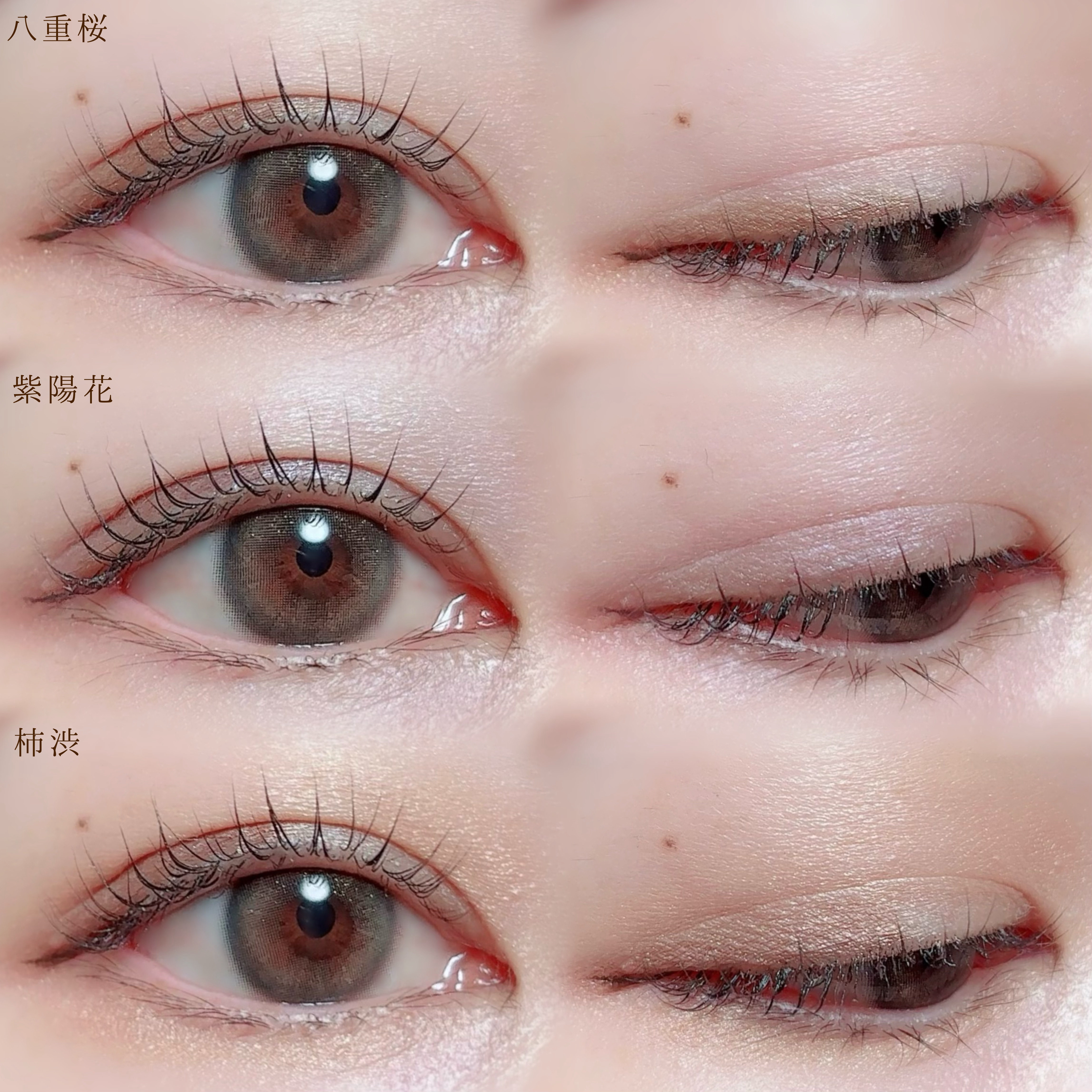 CACアイカラーパレット /CAC/アイシャドウパレットを使ったクチコミ（3枚目）