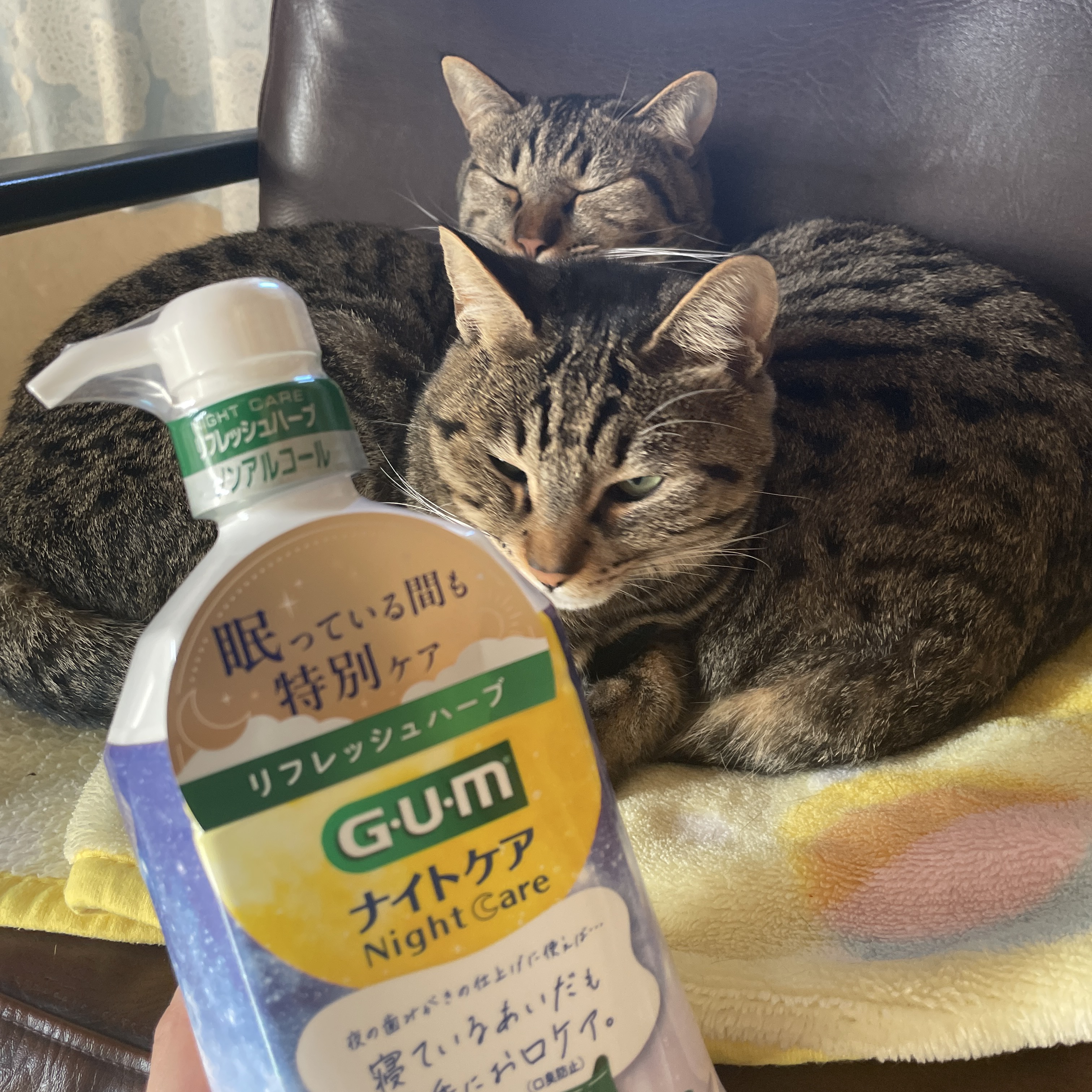 デンタルリンス/GUM/マウスウォッシュ・スプレーを使ったクチコミ（2枚目）