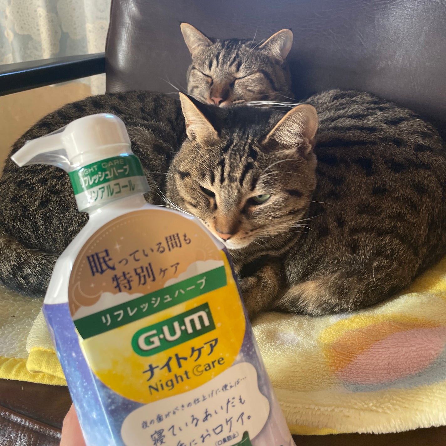 デンタルリンス/GUM/マウスウォッシュ・スプレーを使ったクチコミ(2枚目)