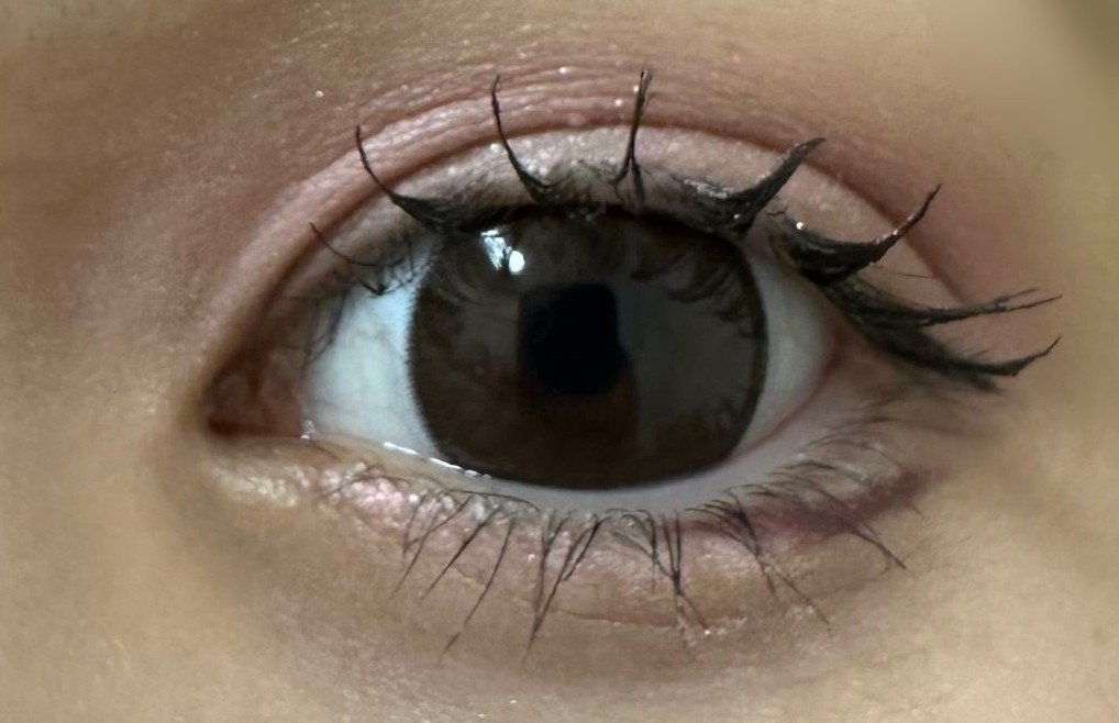 クイックラッシュカーラー/キャンメイク/マスカラ下地を使ったクチコミ（2枚目）