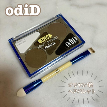 アーティストライン ヘアコンシーラーパレット/odiD/その他スタイリングを使ったクチコミ(1枚目)