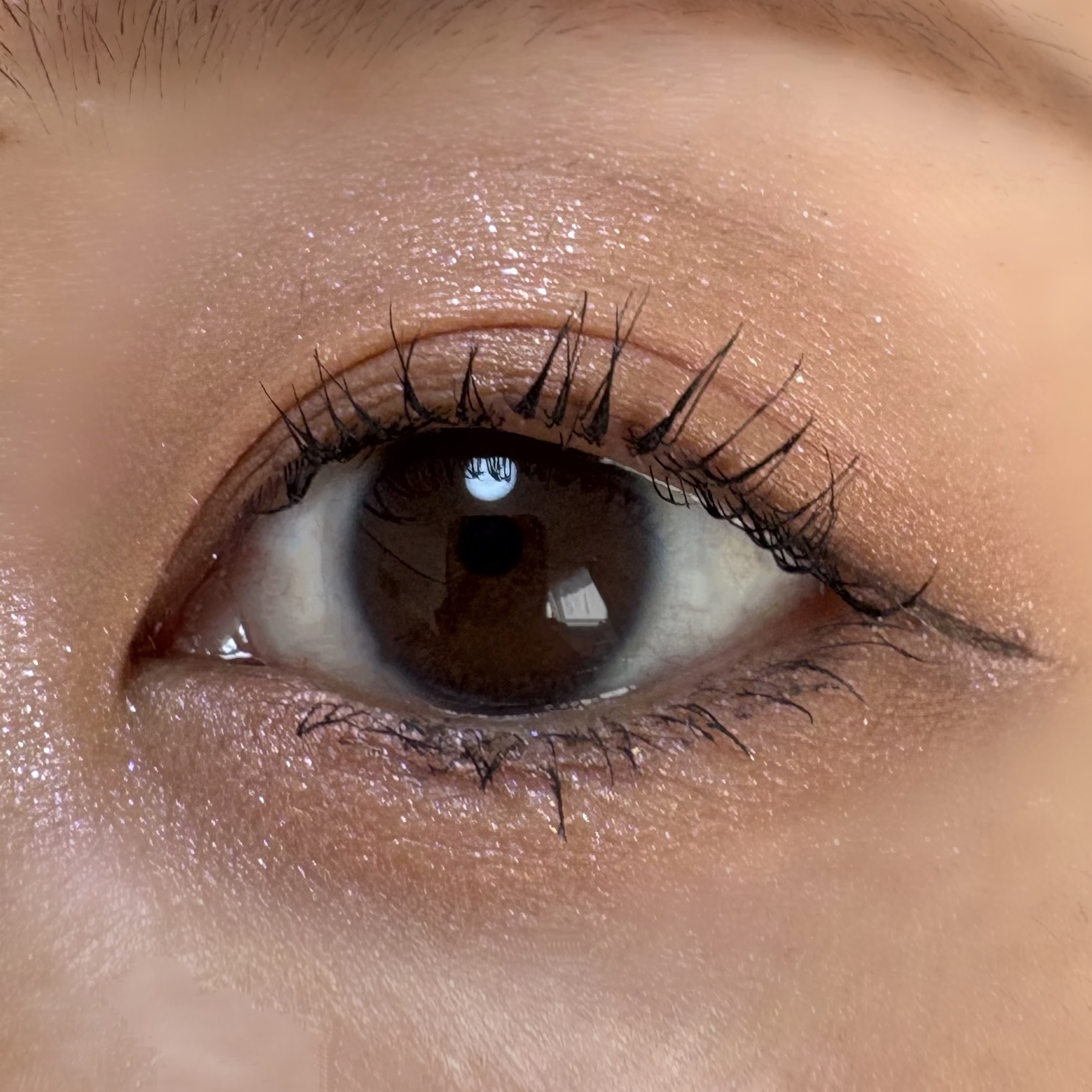 エテュセ カラーパレット スペシャル エディション/ettusais/アイシャドウパレットを使ったクチコミ（3枚目）