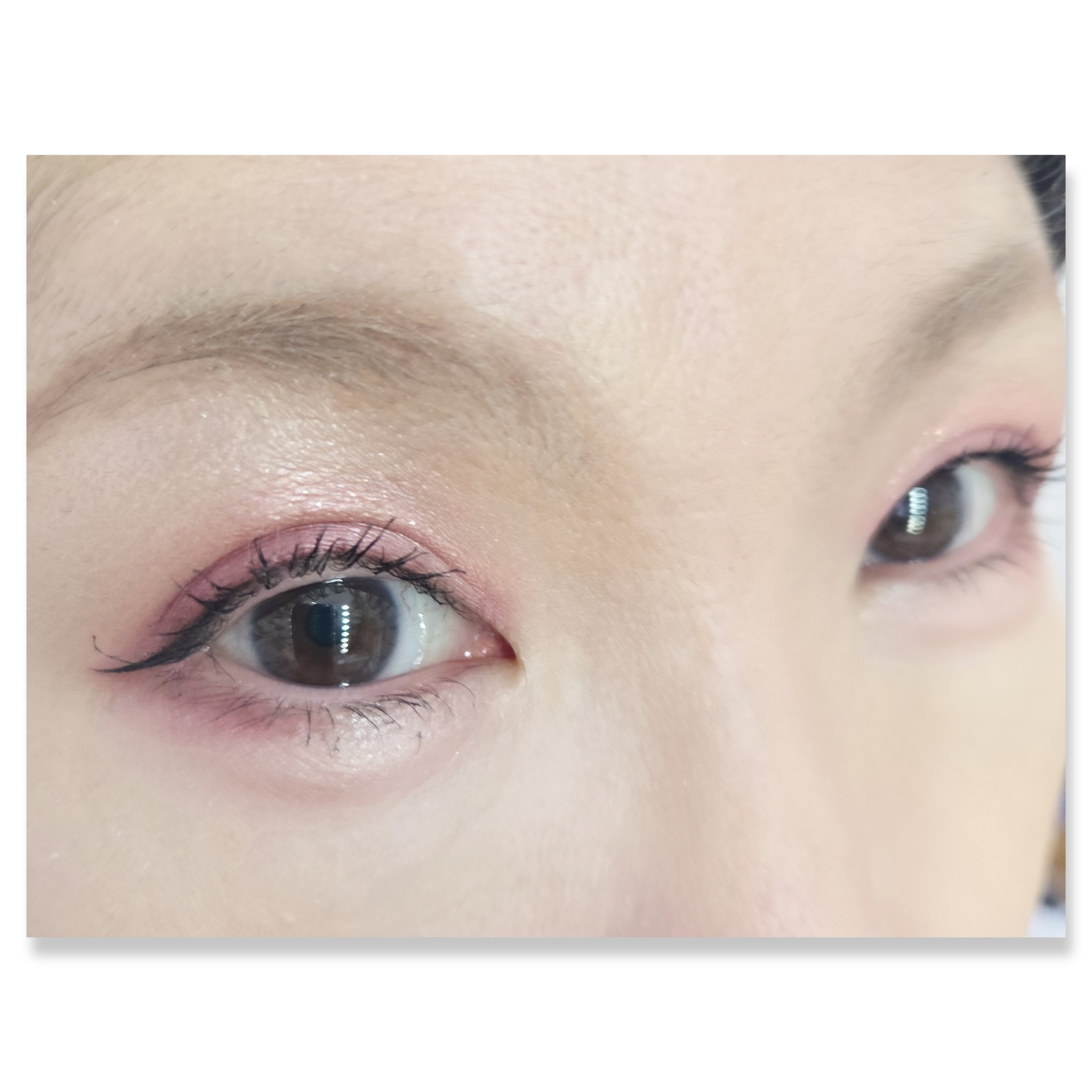 ショコラスウィート アイズ/リンメル ロンドン/アイシャドウパレットを使ったクチコミ（2枚目）