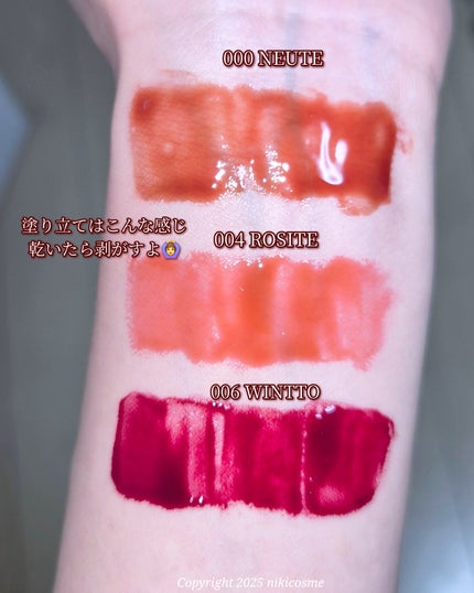 リップティーク 006 ウィント/oiad/口紅を使ったクチコミ(3枚目)