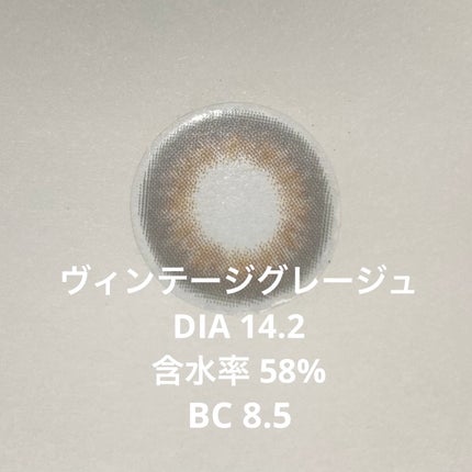 Angelcolor Bambi Series Vintage 1day ヴィンテージグレージュ/AngelColor/ワンデー(1DAY)カラコンの画像