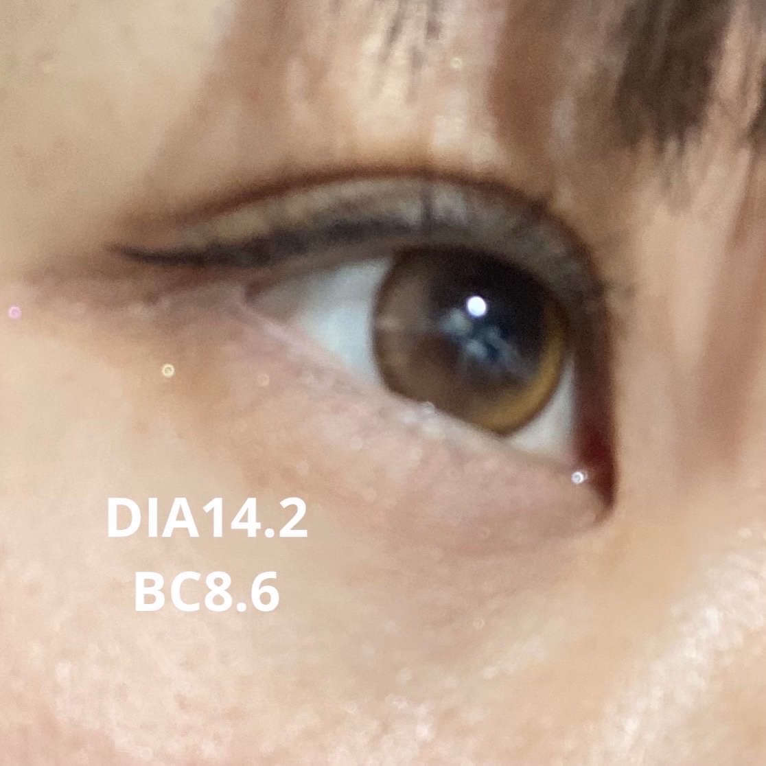 GAL NEVER DIE Hottea/GAL NEVER DIE/ワンデー（１DAY）カラコンを使ったクチコミ（2枚目）