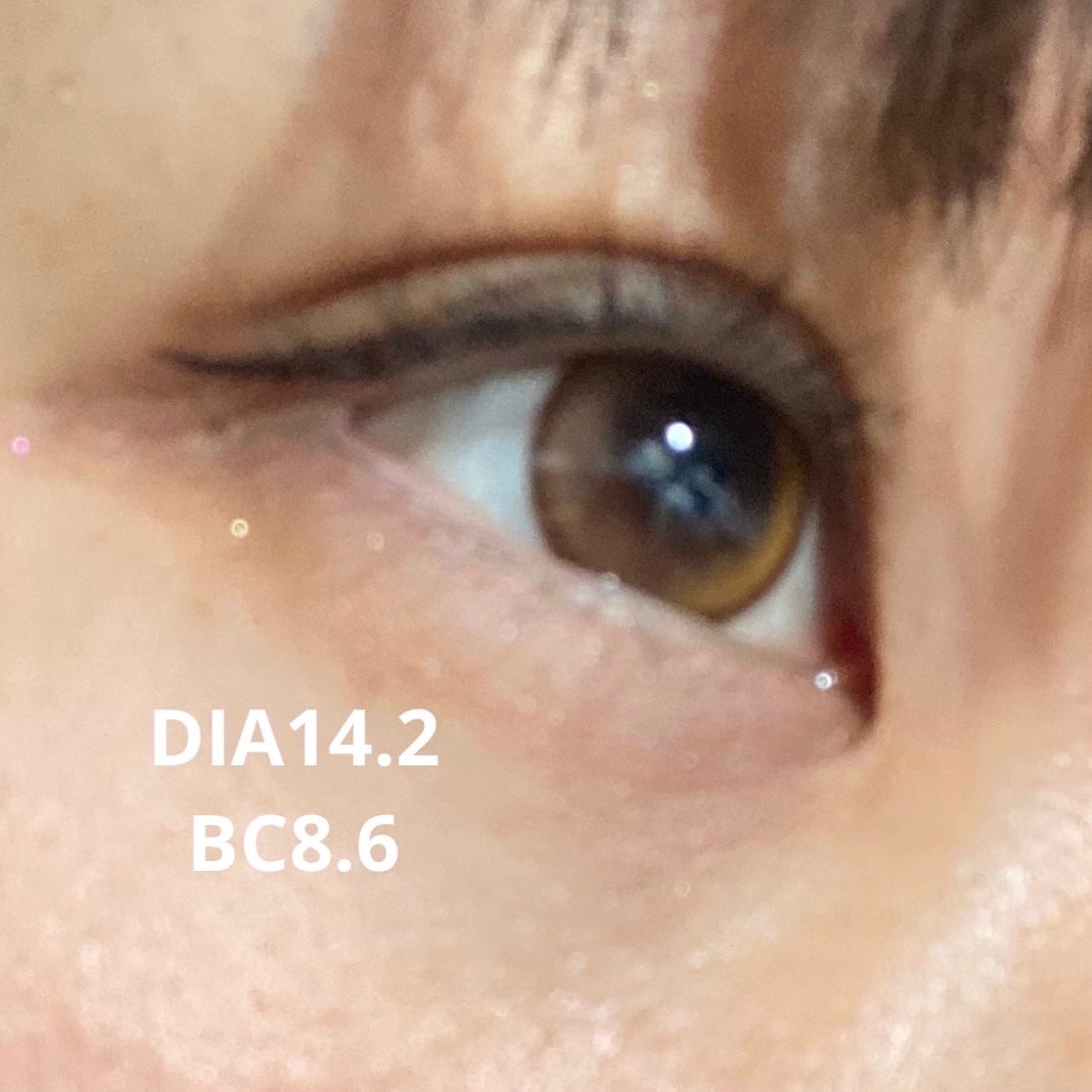 GAL NEVER DIE Hottea/GAL NEVER DIE/ワンデー(1DAY)カラコンを使ったクチコミ(2枚目)