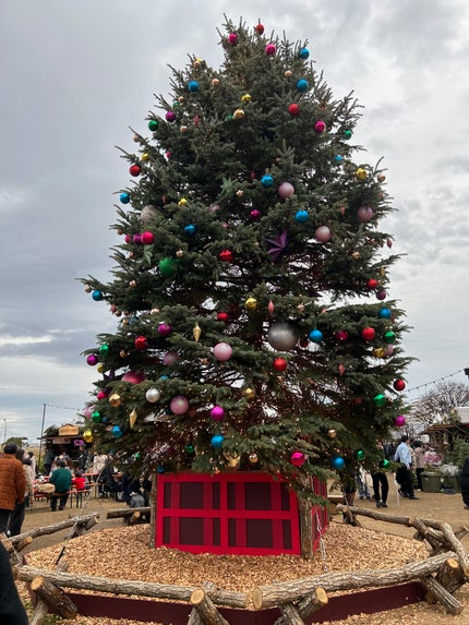プライムプライマーフィニッシュパウダー/BANILA CO/ルースパウダーを使ったクチコミ(4枚目)
