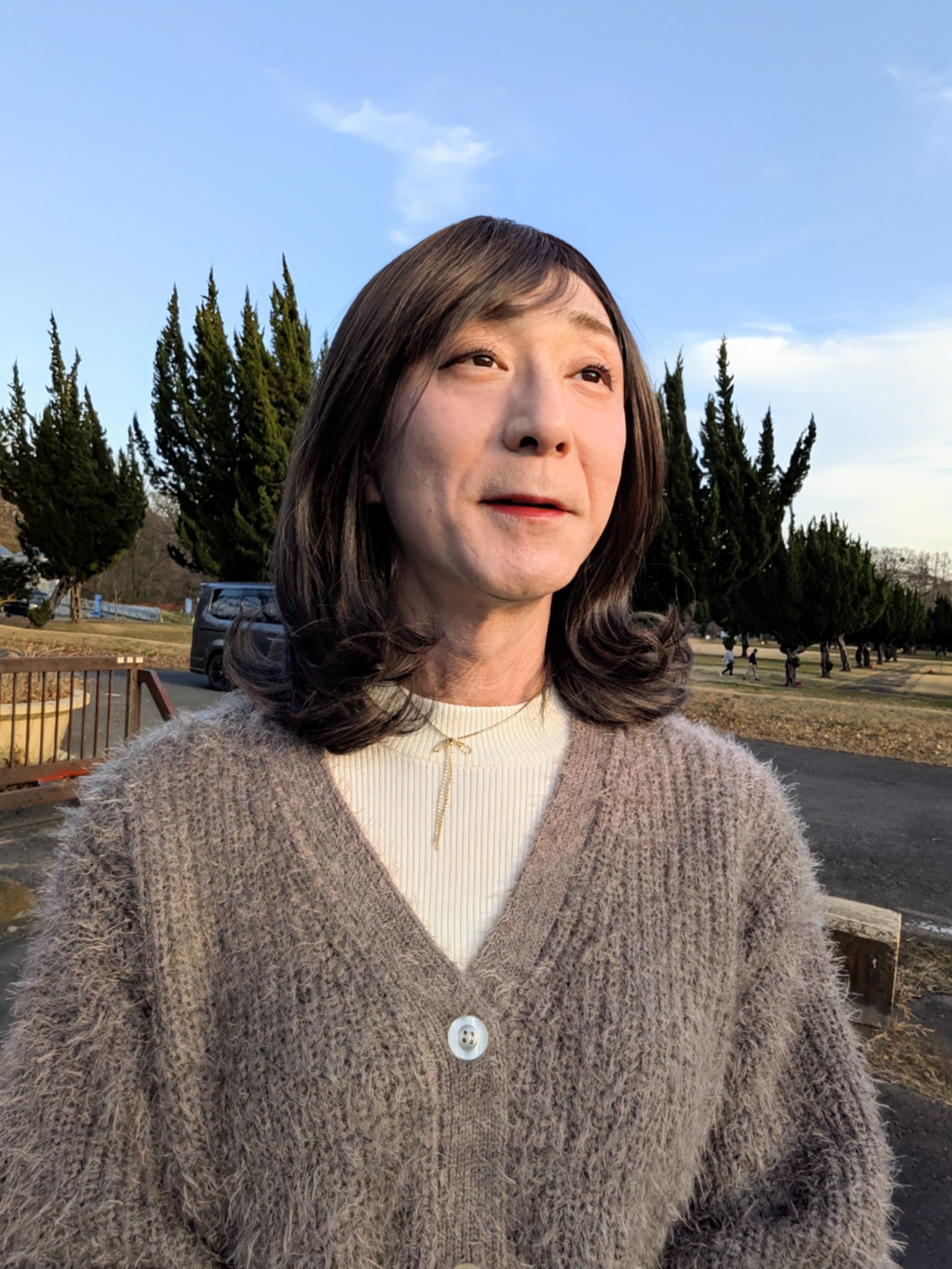 トーンアップアイシャドウ/CEZANNE/アイシャドウパレットを使ったクチコミ（2枚目）