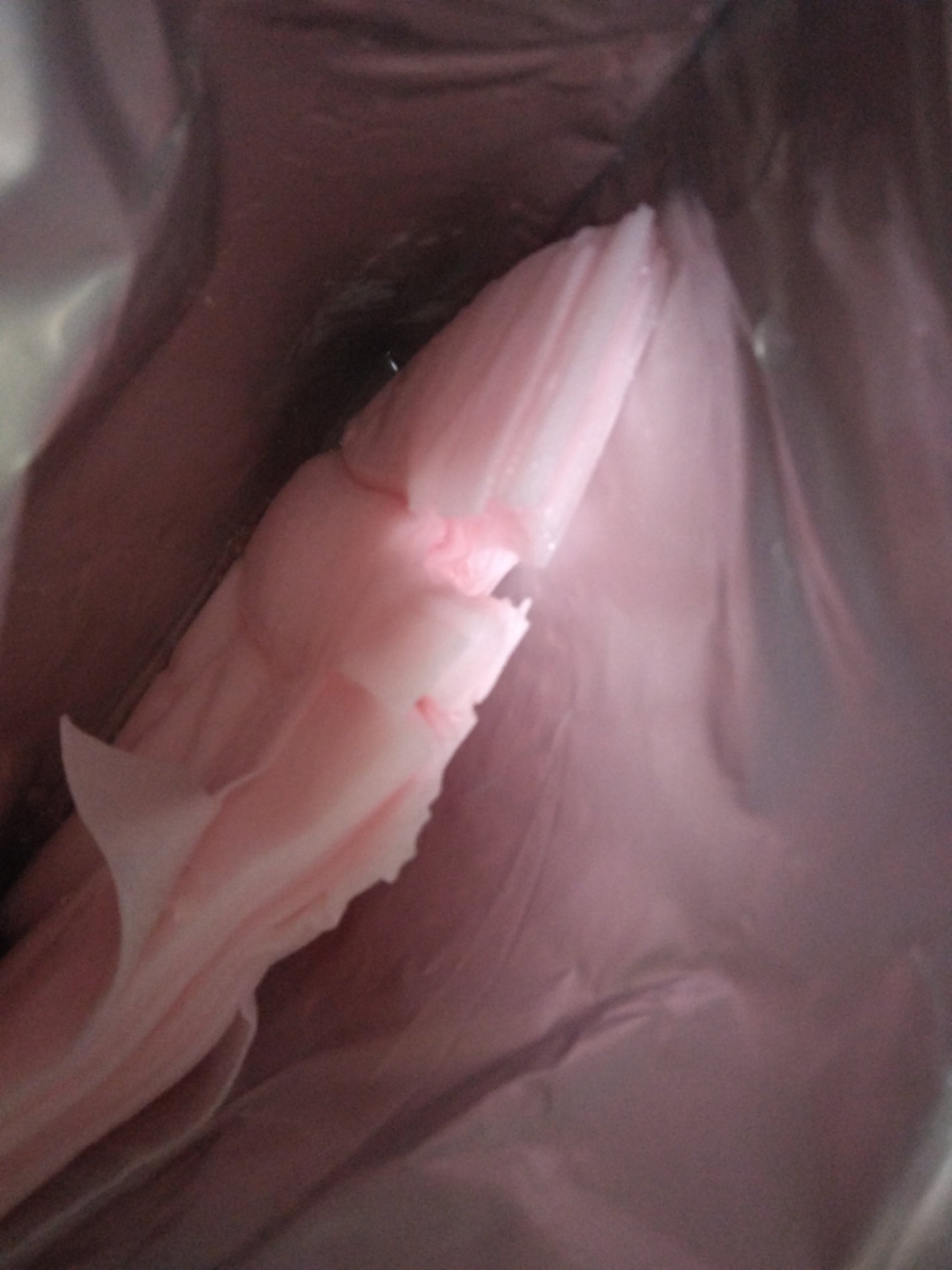 エクシア ラディアンスリニュー ローション/ALBION/化粧水を使ったクチコミ(4枚目)