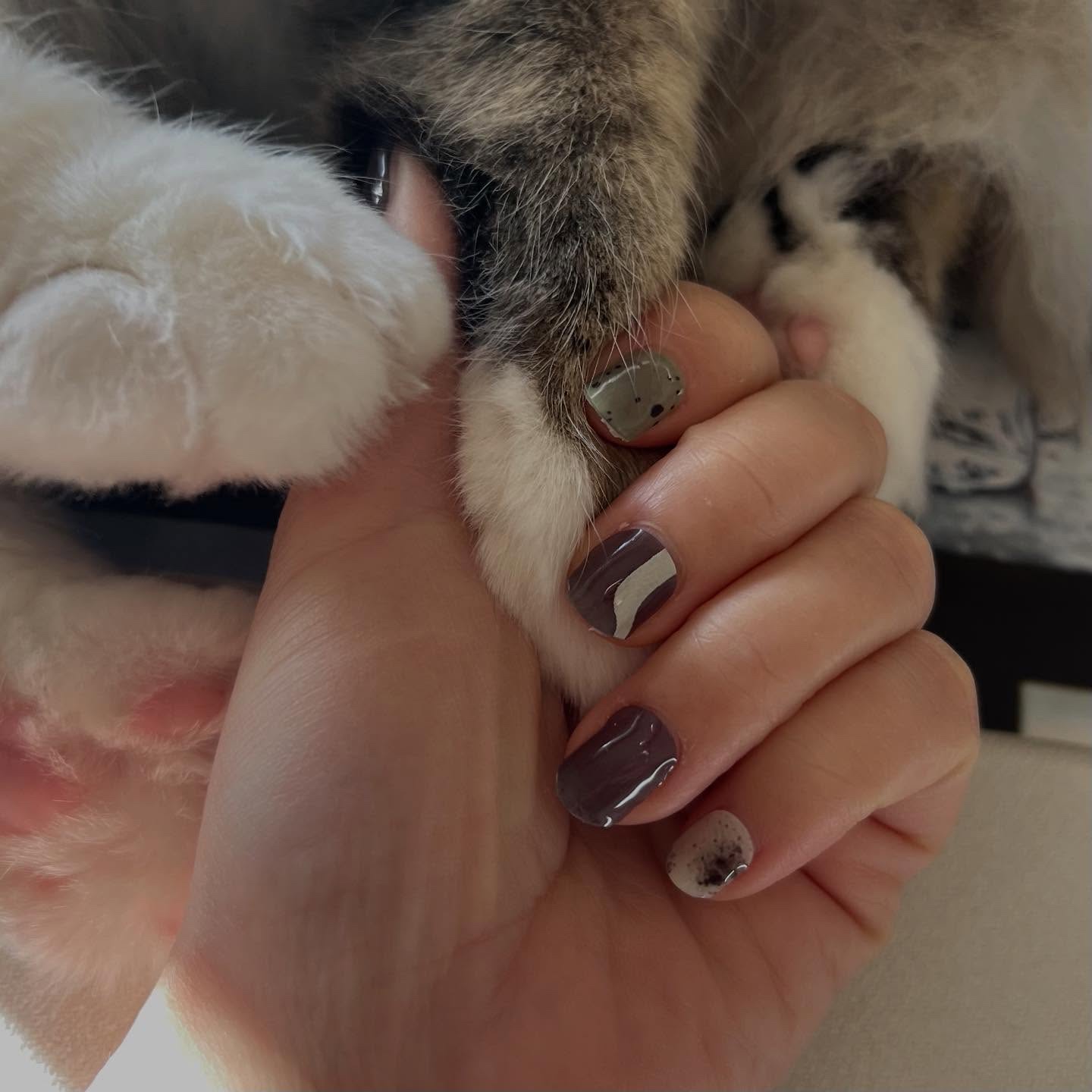 フィットフィックスジェルネイル/esshimo/ネイルシールを使ったクチコミ（2枚目）