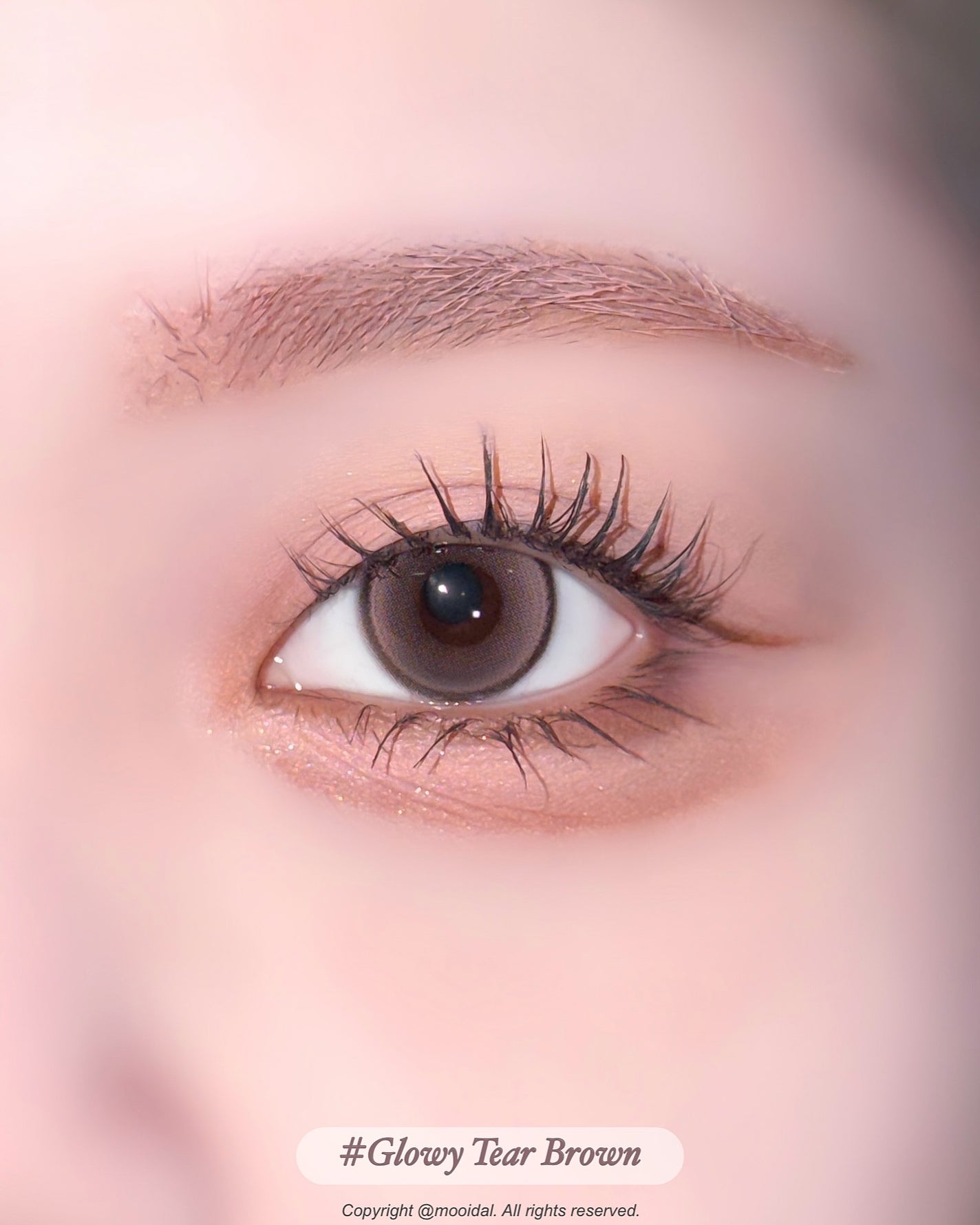 Double Tint 1day/OLENS/カラーコンタクトレンズを使ったクチコミ(6枚目)