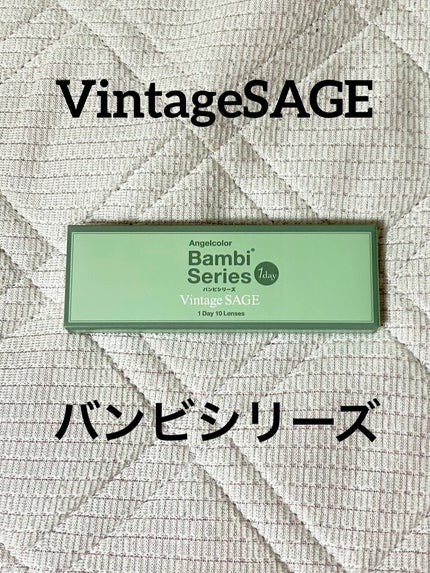 Angelcolor Bambi Series Vintage 1day/AngelColor/ワンデー(1DAY)カラコンを使ったクチコミ(1枚目)