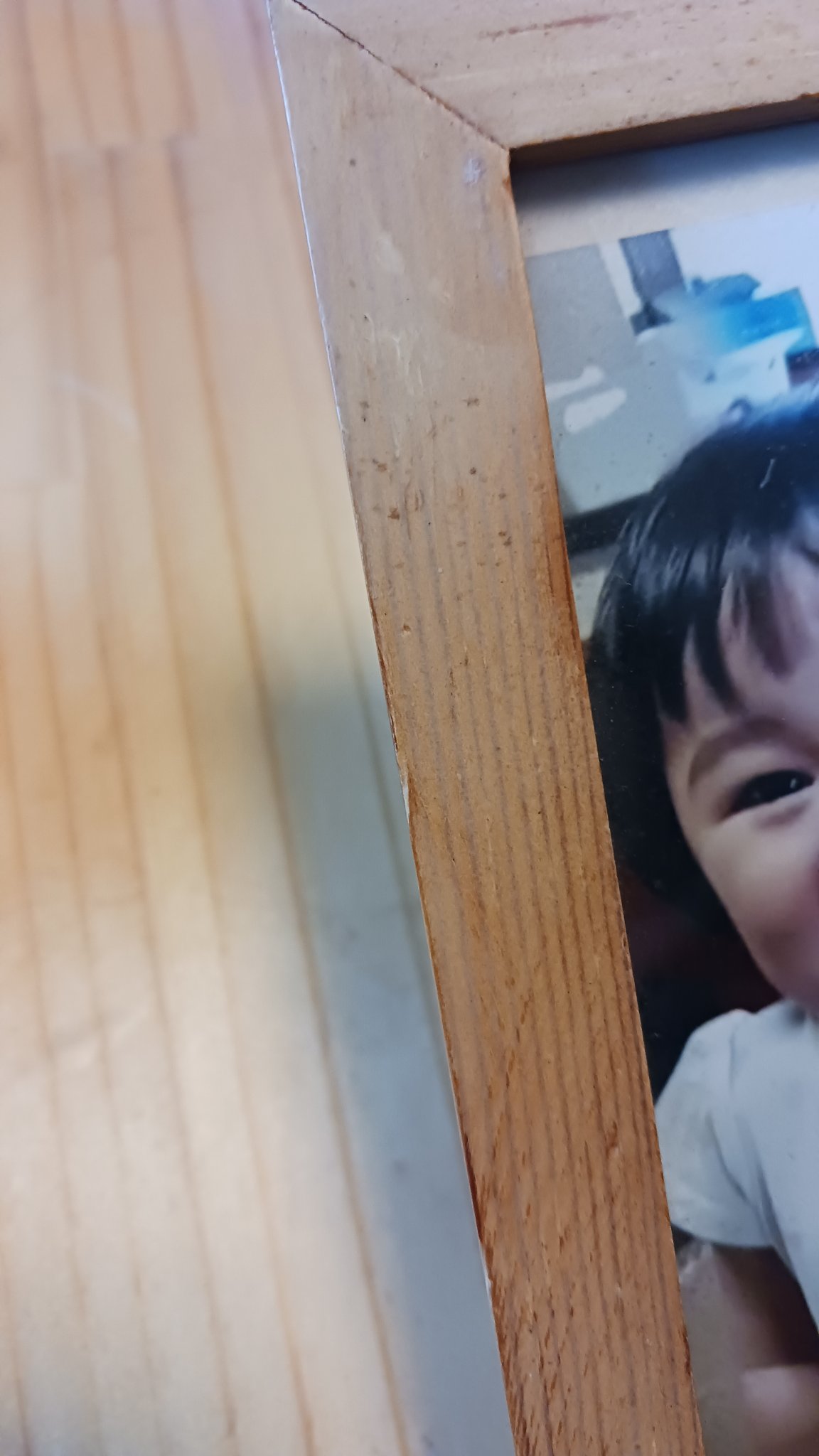 ママ&キッズ ベビー全身シャンプーフレイチェ 400ml/ナチュラルサイエンス/ボディソープを使ったクチコミ（3枚目）